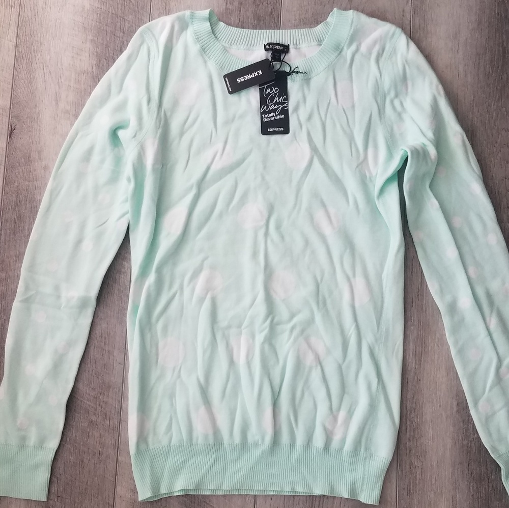 Express sweater (Nwt)